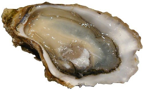 Hàu biển là món ăn không thể thiếu của nam giới