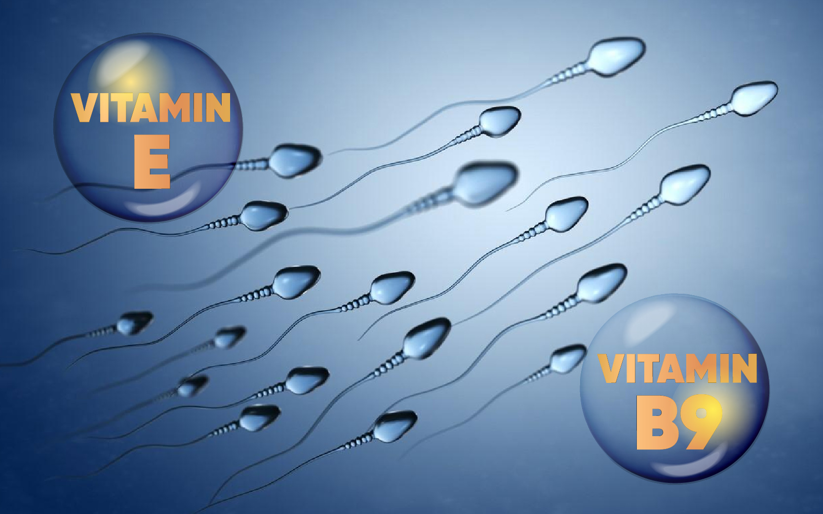 Ảnh: Vitamin E và vitamin B9 đều có tác dụng quan trọng với tinh trùng và sức khỏe sinh sản nam giới