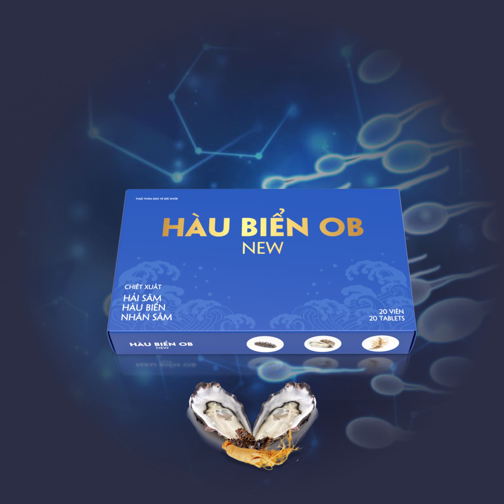 hau-bien-ob-new (16)