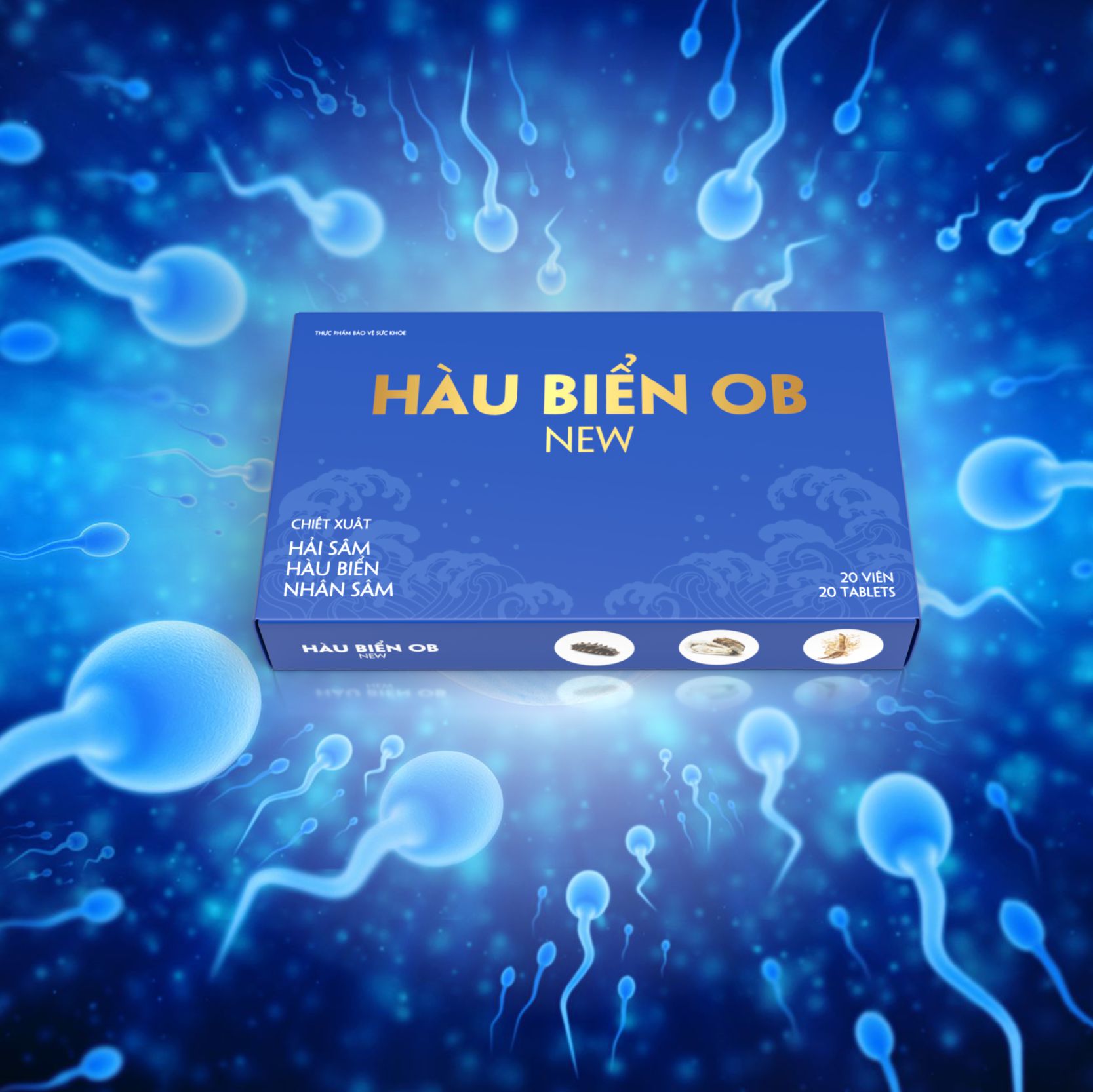 hau-bien-ob-new (3)
