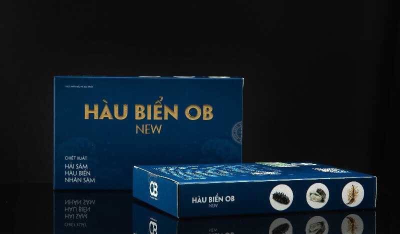 Hau-Bien-Ob-New-2