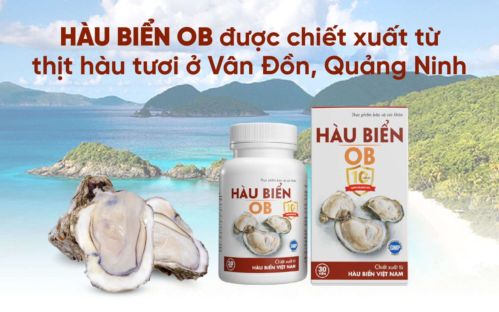 Nguyên liệu chính của Hàu biển OB là thịt hàu sữa tươi được nuôi trồng tại vùng biển Vân Đồn, Quảng Ninh