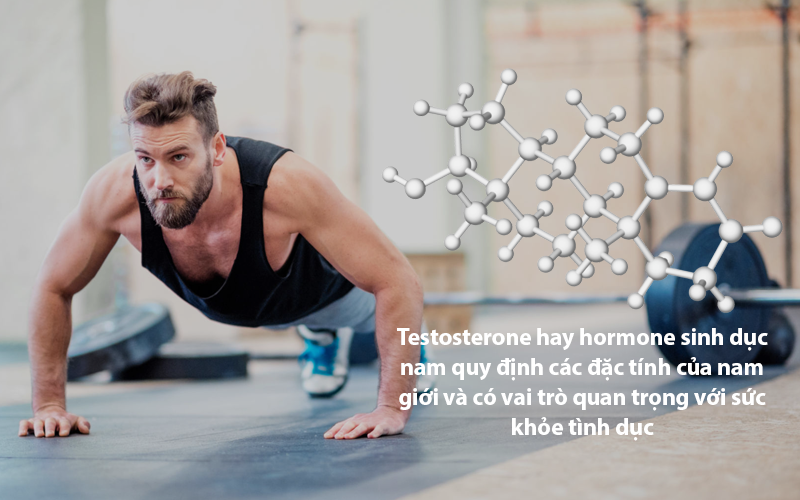 Testosterone còn gọi là hormone sinh dục nam