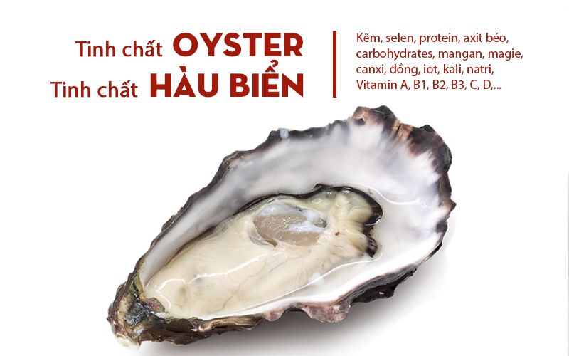 Oyster là gì