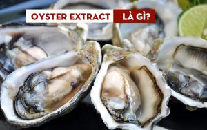 oyster extract là gì