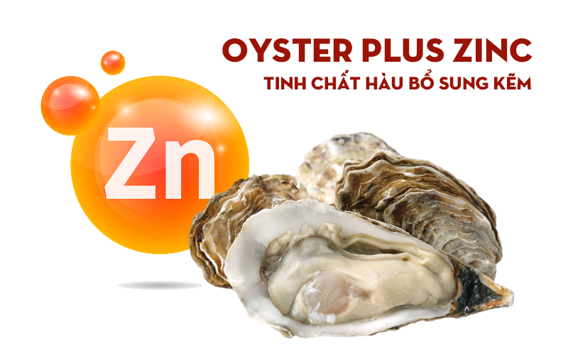 tinh chất hàu oyster plus zinc có tốt không
