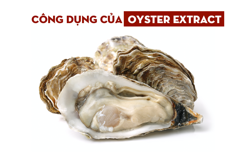 oyster 1