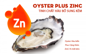 Tinh chất hàu oyster plus zinc có tác dụng gì?