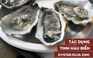 Viên uống tinh chất hàu oyster plus zinc có tác dụng gì ?