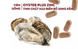 oyster plus zinc cách dùng
